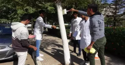 حملة تشجير وتجميل في جامعة المنيا.. استمرار فعاليات الأسبوع البيئي الرابع