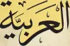 ملحق كتاب الشاطر لغة عربية الصف السادس الابتدائي ترم أول 2027 مراجعة واختبارات