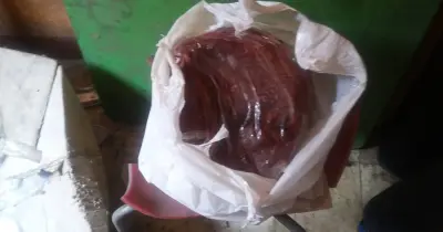 ضبط كمية من اللحوم والأسماك غير صالحة للاستهلاك في كفر الشيخ.. تفاصيل