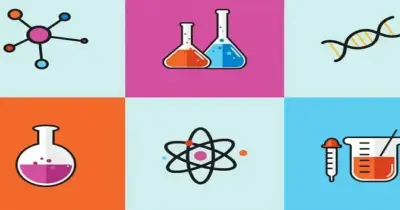 المراجعة النهائية المعاصر science للصف الرابع الابتدائي الترم الثاني 2026 pdf