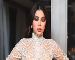 فيديو هيفاء وهبي الجديد تويتر.. المنصة تقدم توضيحا عن المقطع المخل