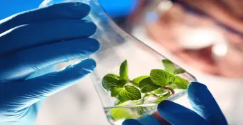 أسعار كلية التكنولوجيا الحيوية في الجامعات الخاصة 2026 2027