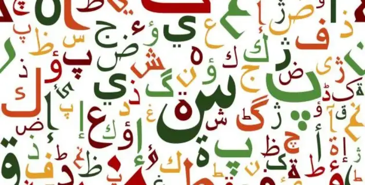  مذكرة عربي الصف الأول الابتدائي pdf ترم أول 2025 2026 