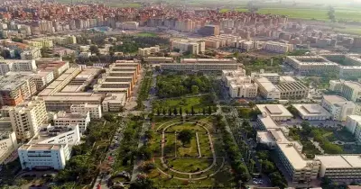 تنسيق القبول بالبرامج النوعية جامعة المنصورة 2026 2027