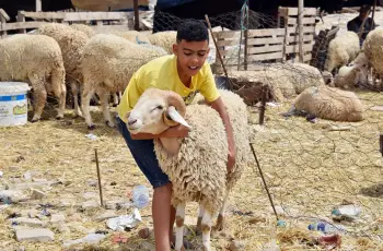 عيد الأضحى يوم إيه؟..  موعد وقفة عرفات والعيد الكبير