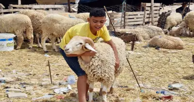 إجازة العيد الكبير في مصر 2026.. أكثر من 5 أيام