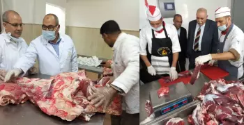 مدينة الأزهر: لجان متختصصة لاستلام السلع الغذائية من الموردين (صور)