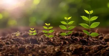 تسمى الأشياء غير الحية كالتربة، والصخور، والماء، والهواء عوامل لاحيوية. عوامل حيوية. نظام بيئي.. الحل الصحيح