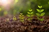 تسمى الأشياء غير الحية كالتربة، والصخور، والماء، والهواء عوامل لاحيوية. عوامل حيوية. نظام بيئي.. الحل الصحيح