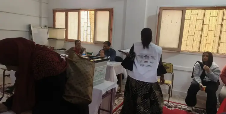  المؤشرات الأولية لنتائج انتخابات مجلس النواب الدقهلية 2025 دائرة أول المنصورة 