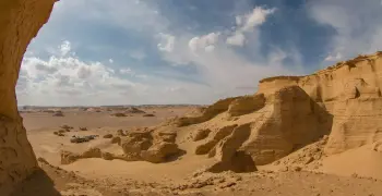 ماذا يعني إدراج وادي الحيتان في القائمة الخضراء للاتحاد الدولي لحماية الطبيعة؟