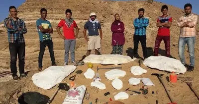 بعد اكتشاف الديناصور.. جامعة المنصورة تعثر على اكتشافات حفرية جديدة