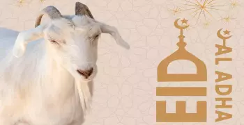 موعد صلاة عيد الأضحى 2024 في أخميم والبلينا وجرجا