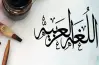 كتاب الوزارة عربي الصف الثاني الإعدادي ترم أول 2027 pdf