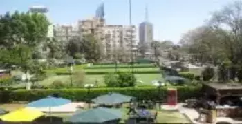 التحليل النفسي لصاحبات تورتة نادي الجزيرة
