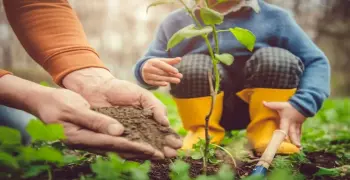 توقعات تنسيق كليات الزراعة من دبلوم زراعي 5 سنوات 2026 2027.. فرص تعليمية واعدة
