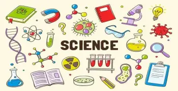 حل تقييمات الأسبوع الرابع ساينس Science للصف الأول الإعدادي الترم الأول 2027