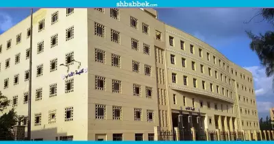 بالتعاون مع «اليونيسيف».. «آداب المنصورة» تنظم دورة تأهيلية لسوق العمل