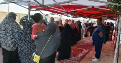 نتيجة انتخابات مجلس النواب في دائرة بنها وكفر شكر 2025.. مؤشرات أولية