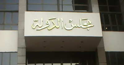 كشف أسماء المقبولين في مجلس الدولة 2025 من دفعتي 2020 و2021 PDF