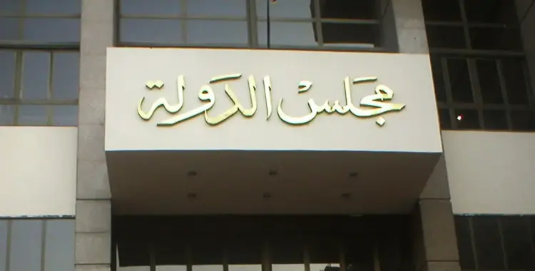  كشف أسماء المقبولين في مجلس الدولة 2025 من دفعتي 2020 و2021 PDF 