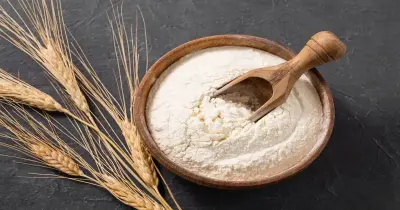 سعر دقيق القمح الكامل لجميع الأنواع المختلفة.. اعرف أفضلهم