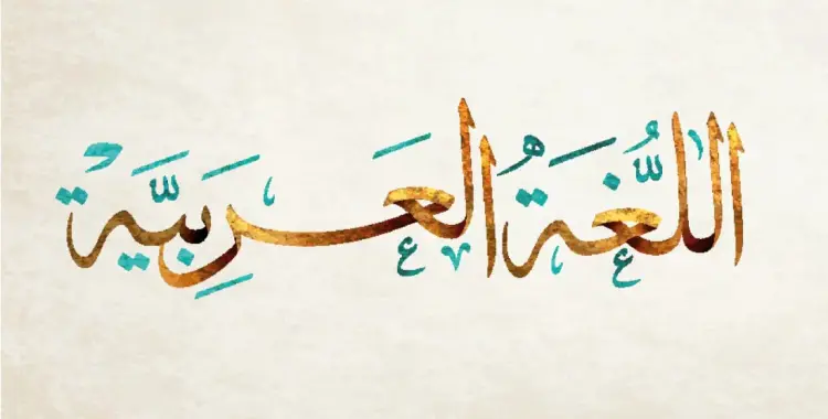  تحميل كتاب الوزارة لغة عربية للصف السادس الابتدائي 2026 الترم الأول pdf 