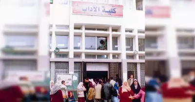 دخلت آداب بنها؟.. 11 قسم اختار اللي يناسبك