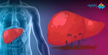 10 معلومات مهمة عن الكبد.. الغدة الأكبر في جسم الإنسان ويتجدد تلقائيا