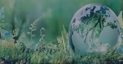 كتاب الامتحان علوم للصف الرابع الابتدائي الترم الأول 2027