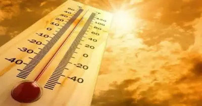 حالة الطقس حتى نهاية الأسبوع.. الأرصاد تعلن انخفاضا تدريجيا في الحرارة بعد موجة الثلاثاء