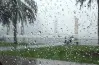 أمطار على القاهرة الكبرى.. الشتاء يكشر عن أنيابه في طقس الاثنين