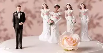 محكمة الأسرة تنظر دعوى ضد رجل يجمع بين 7 زوجات بخلاف عشيقاته