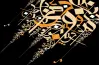 ملخص النحو للصف الثالث الإعدادي الترم الأول 2027