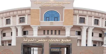 على غرار المرأة.. دعوى قضائية تطالب بتأسيس مجلس قومى للرجال لتطبيق المساواة