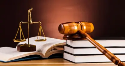 توقعات تنسيق كلية الحقوق 2026 بالجامعات الحكومية والنسب المئوية