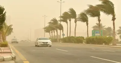 هل يوجد تراب في الجو اليوم السبت 14 فبراير 2026؟