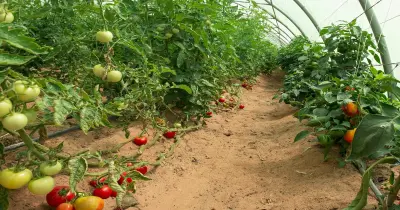 وزارة العمل تعلن عن فرص عمل براتب 1200 يورو شهريا.. آخر موعد للتقديم