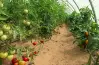 وزارة العمل تعلن عن فرص عمل براتب 1200 يورو شهريا.. آخر موعد للتقديم