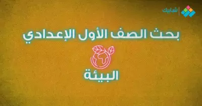 بحث عن البيئة الصف الأول الإعدادي.. خطوات عمل البحث