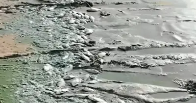 شبح التلوث الكيميائي يهدد الثروة السمكية داخل بحيرة النوبة