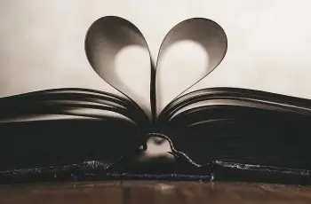 ناتج قسمة عددين صحيحين مختلفي الإشارة يكون عددا سالبا.. صواب أم خطأ؟