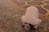 متى تصلى صلاة الضحى غدا 30 أكتوبر 2026؟