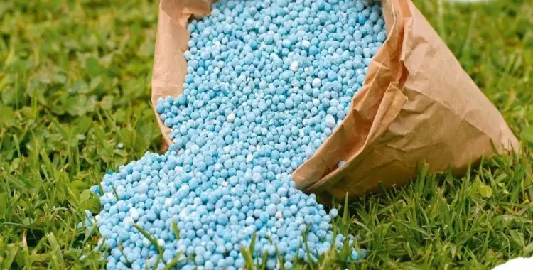  بشرى للمزارعين.. مد الموسم الصيفي 2025 لاستلام الأسمدة لهذا الموعد 