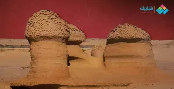 موطن «مساخيط الله» في الأرض.. ما لا تعرفه عن وادي الحيتان