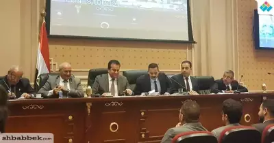 التعديلات الدستورية تحقق الاستقرار.. رسالة البرلمان لرؤساء اتحادات طلاب الجامعة