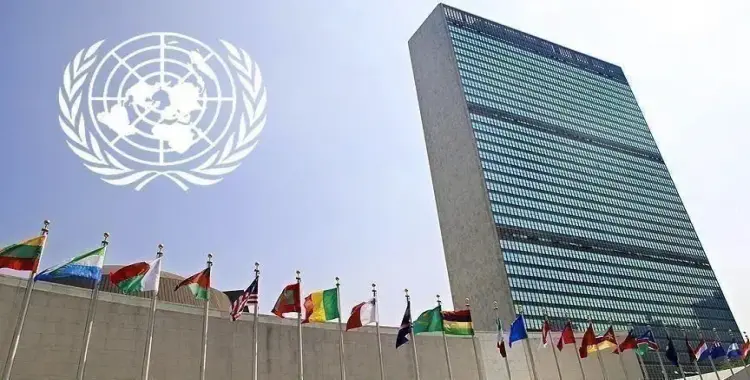  رسميا.. مصر عضو في مجلس حقوق الإنسان بالأمم المتحدة 