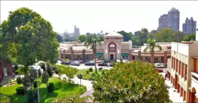 تليفون نادي الجزيرة رقم الهاتف الخط الساخن