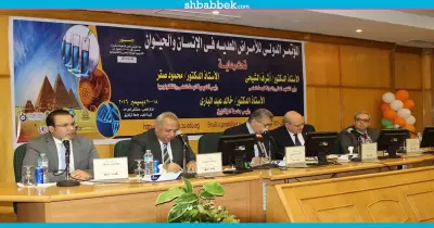 وزير التعليم العالي: تطوير البحث العلمي يزيد من الدخل القومي