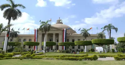 الجامعات المصرية ضمن أفضل 100 عالميا في تخصصات الصيدلة وعلوم التشريح وطب الأسنان